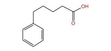 5-Phenylpentanoic acid